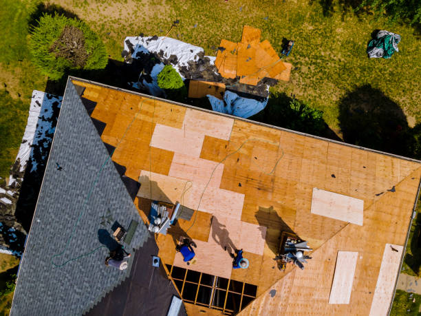 Best Roof Maintenance Services  in Perryman, MD